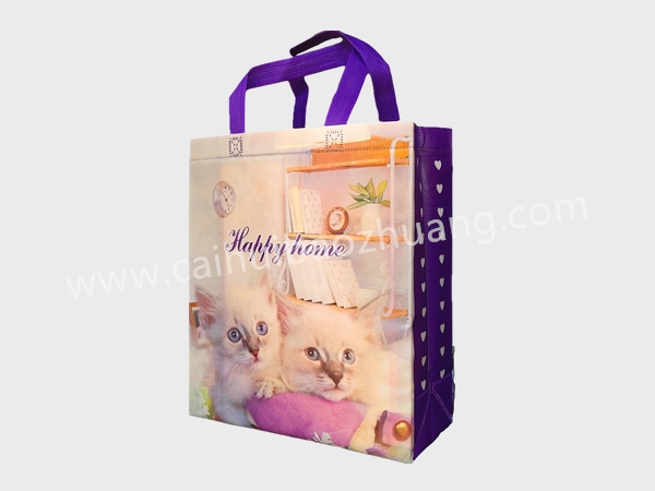 彩匯包裝 外貿(mào)無(wú)紡布手提袋  外貿(mào)手提禮品袋